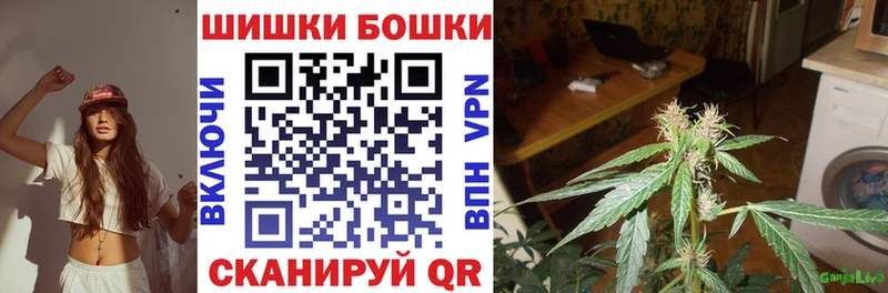 Каннабис семена  Александровское 